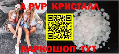 гидра Будённовск