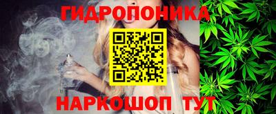 гидра Будённовск