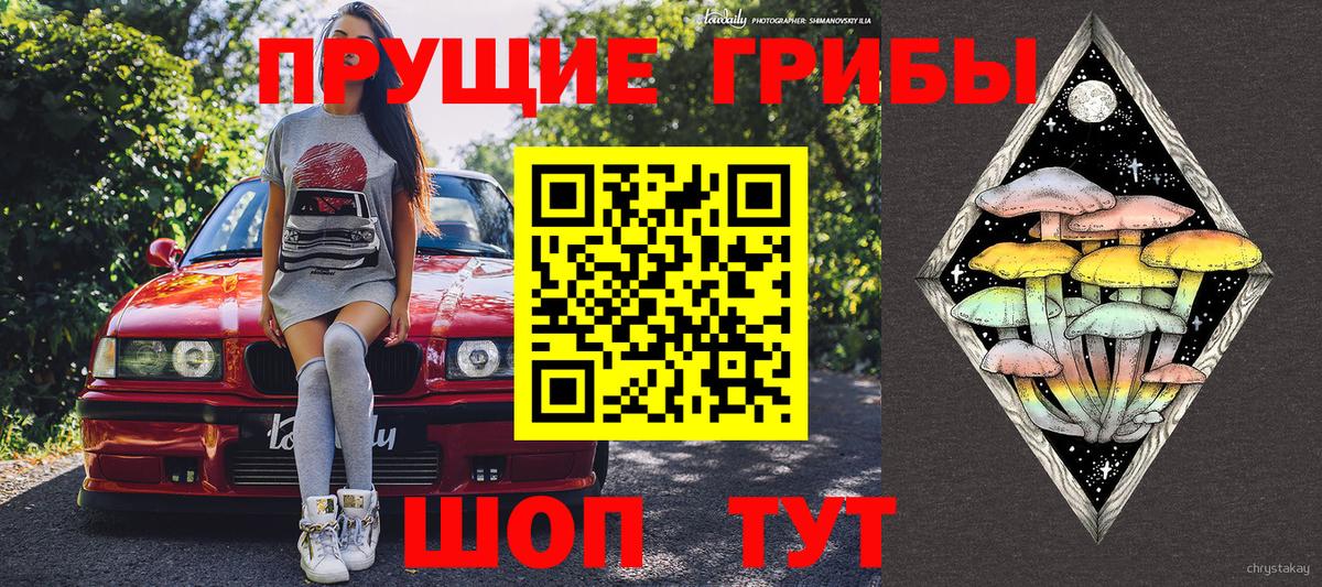 Галлюциногенные грибы мицелий  Вход с VPN  купить закладку  Люберцы 