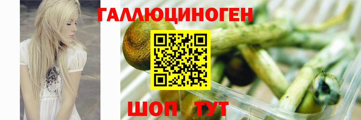 Псилоцибиновые грибы ЛСД Люберцы